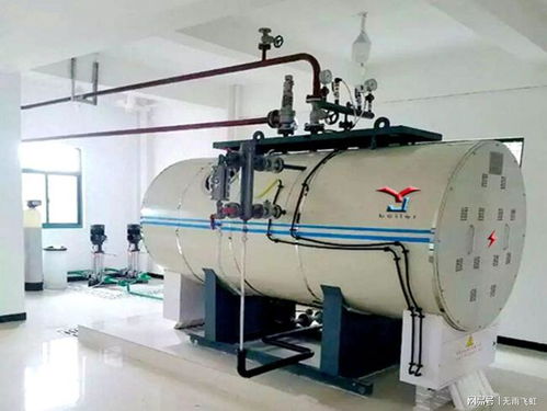 燃?xì)獠讳P鋼電開(kāi)水爐,熱水鍋爐,蒸汽鍋爐安裝調(diào)試 使用注意事項(xiàng)