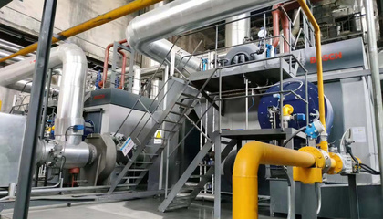 安徽佳通輪胎25噸蒸汽鍋爐燃燒器低氮改造項目